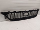 Front Lower Grille